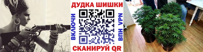 купить   Гаврилов Посад  Бошки марихуана семена 